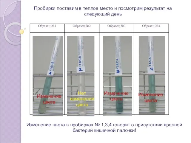 Пробирки поставим в теплое место и посмотрим результат на следующий день Изменение