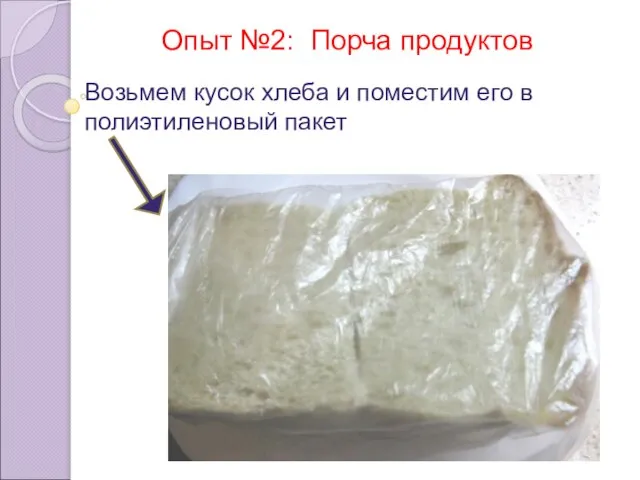 Опыт №2: Порча продуктов Возьмем кусок хлеба и поместим его в полиэтиленовый пакет