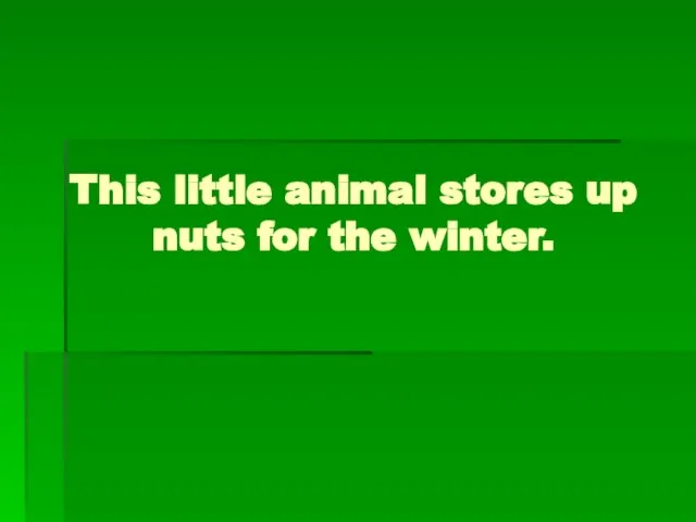 This little animal stores up nuts for the winter.