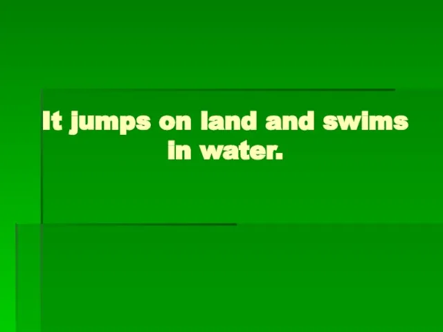 It jumps on land and swims in water.