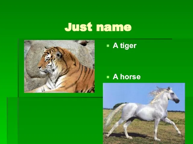 Just name A tiger A horse