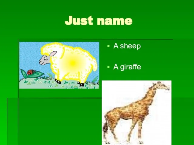 Just name A sheep A giraffe