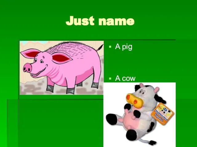Just name A pig A cow