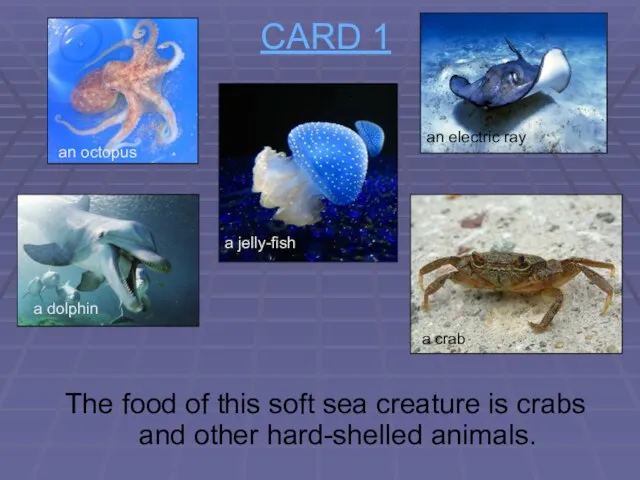 CARD 1 The food of this soft sea creature is crabs and