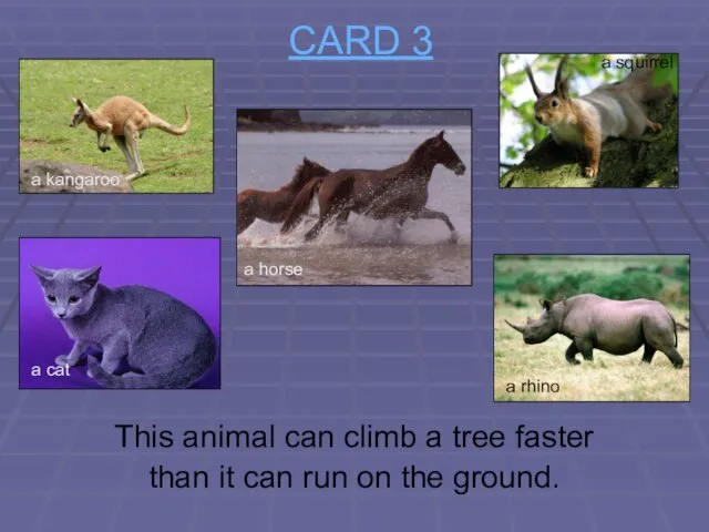 CARD 3 This animal can climb a tree faster than it can
