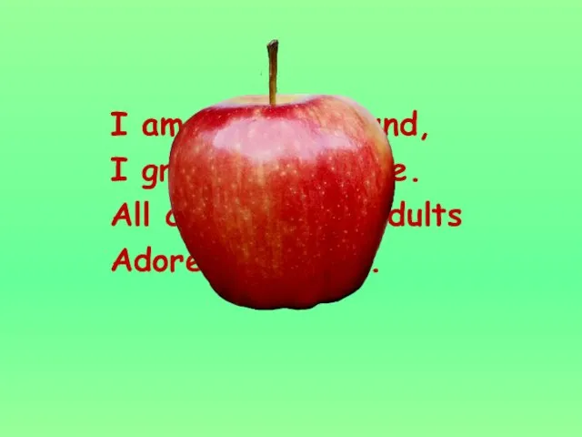 I am red and round, I grow on the tree. All children