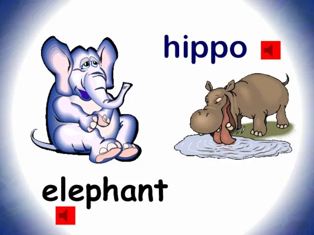 elephant hippo