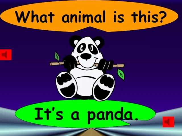 What animal is this? It’s a panda.