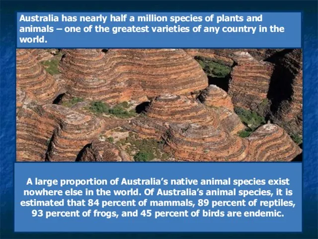 A large proportion of Australia’s native animal species exist nowhere else in