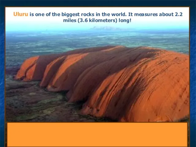 M a m m a l s Uluru is one of the