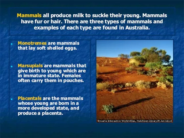 Mammals all produce milk to suckle their young. Mammals have fur or