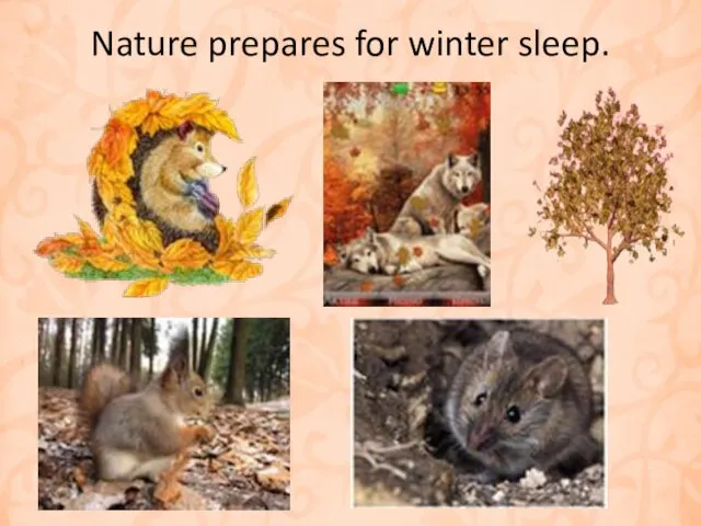 Nature prepares for winter sleep.