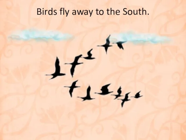 Birds fly away to the South.