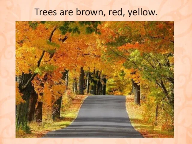 Trees are brown, red, yellow.