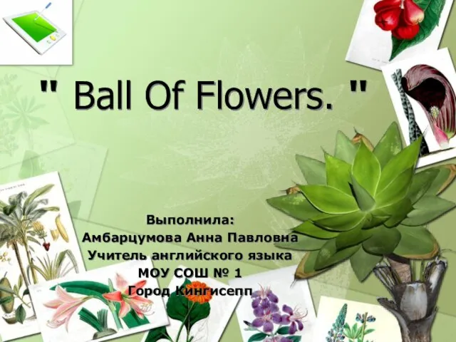 Презентация на тему Ball Of Flowers