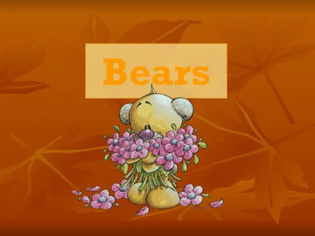 Презентация на тему Bears