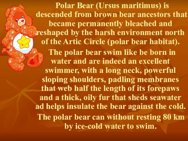 Polar Bear (Ursus maritimus) is descended from brown bear ancestors that became