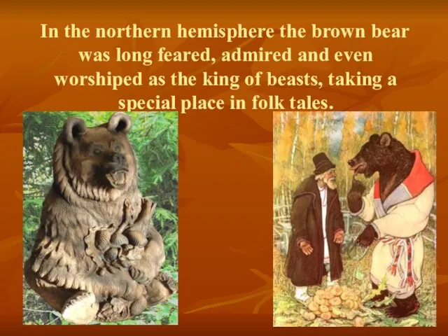 In the northern hemisphere the brown bear was long feared, admired and