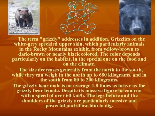 The term "grizzly" addresses in addition, Grizzlies on the white-grey speckled upper