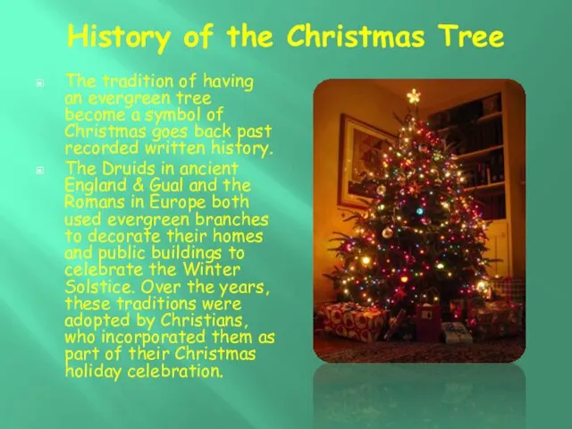History of the Christmas Tree The tradition of having an evergreen tree