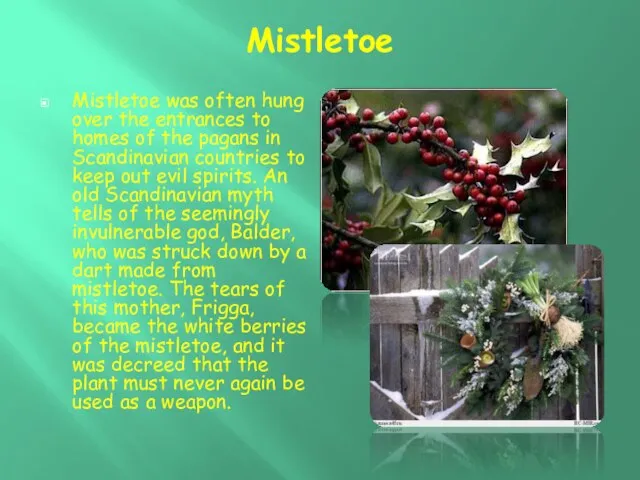 Mistletoe Mistletoe was often hung over the entrances to homes of the