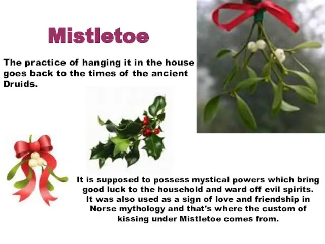 Mistletoe The practice of hanging it in the house goes back to
