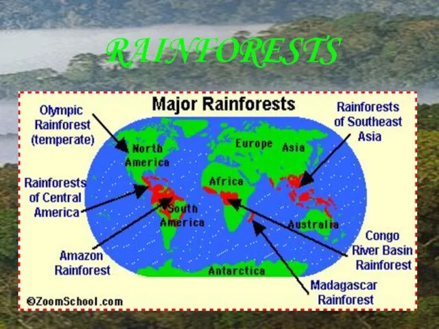 RAINFORESTS