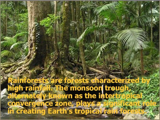 Rainforests are forests characterized by high rainfall. The monsoon trough, alternately known