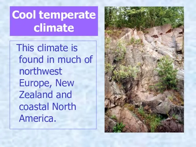 Cool temperate climate This climate is found in much of northwest Europe,