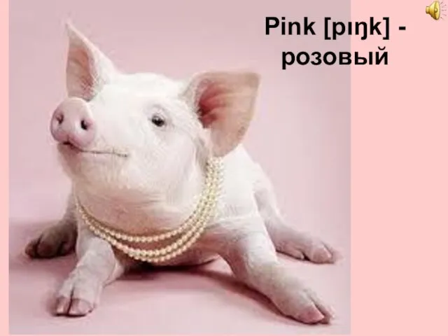 Pink [pιŋk] - розовый