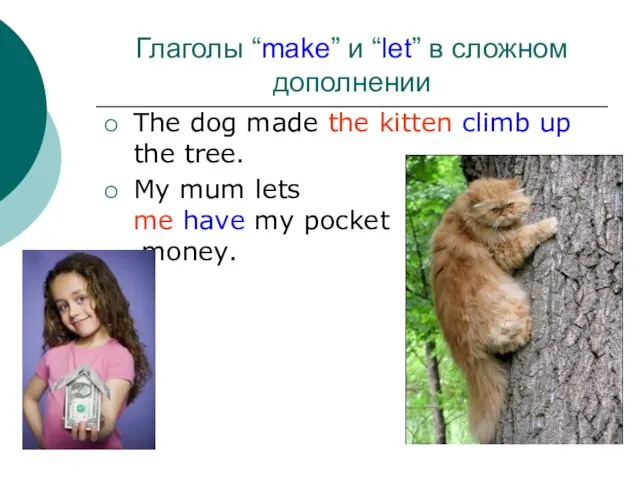 Глаголы “make” и “let” в сложном дополнении The dog made the kitten