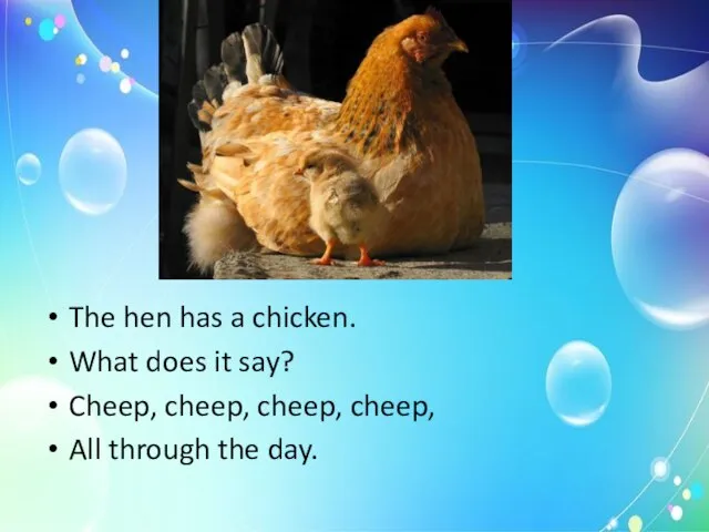 The hen has a chicken. What does it say? Cheep, cheep, cheep,