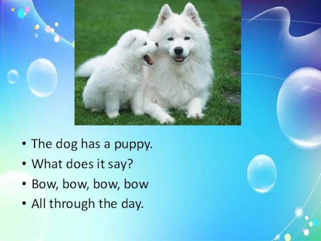 The dog has a puppy. What does it say? Bow, bow, bow,