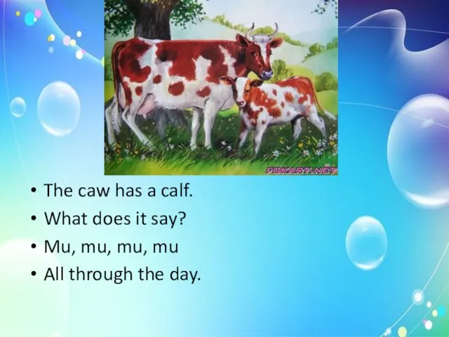 The caw has a calf. What does it say? Mu, mu, mu,