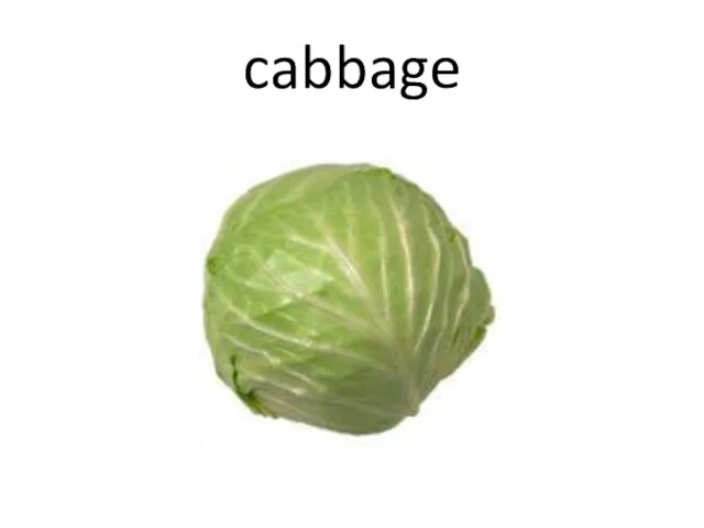 cabbage