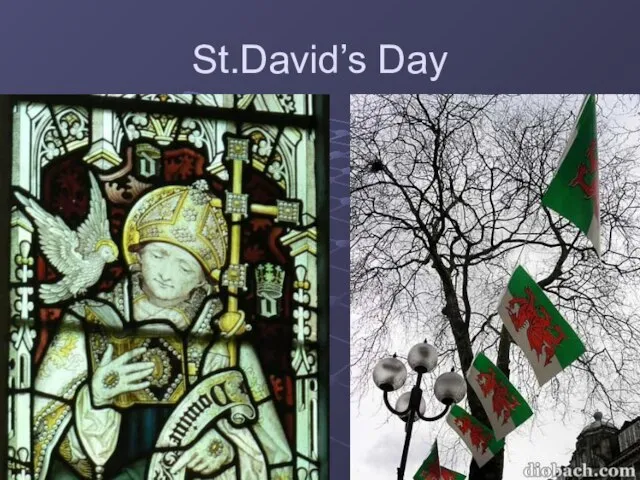 St.David’s Day