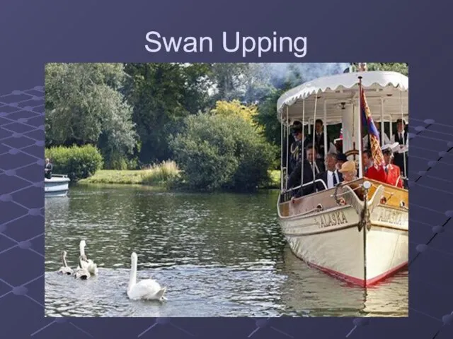 Swan Upping