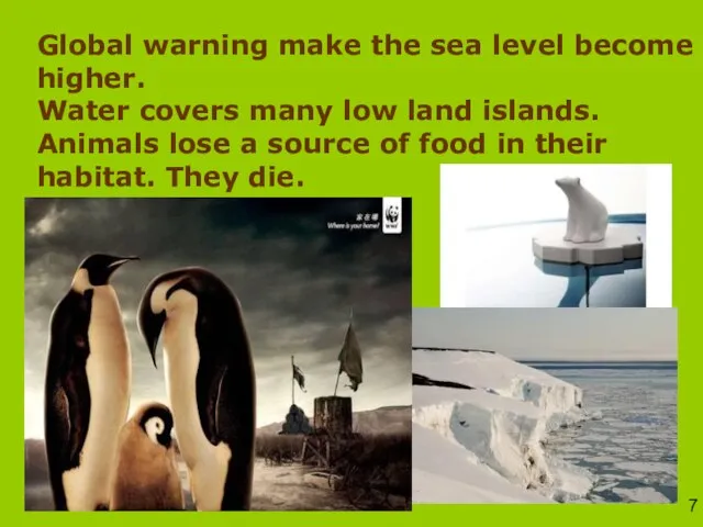 Global warning make the sea level become higher. Water covers many low