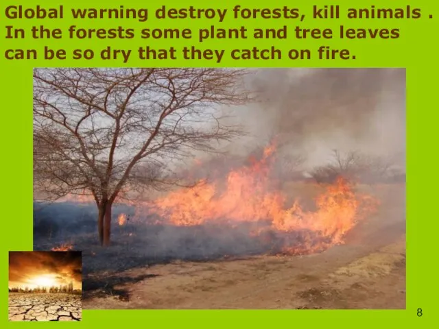 Global warning destroy forests, kill animals . In the forests some plant