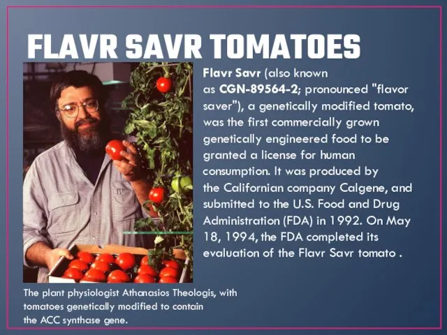 FLAVR SAVR TOMATOES Flavr Savr (also known as CGN-89564-2; pronounced "flavor saver"),