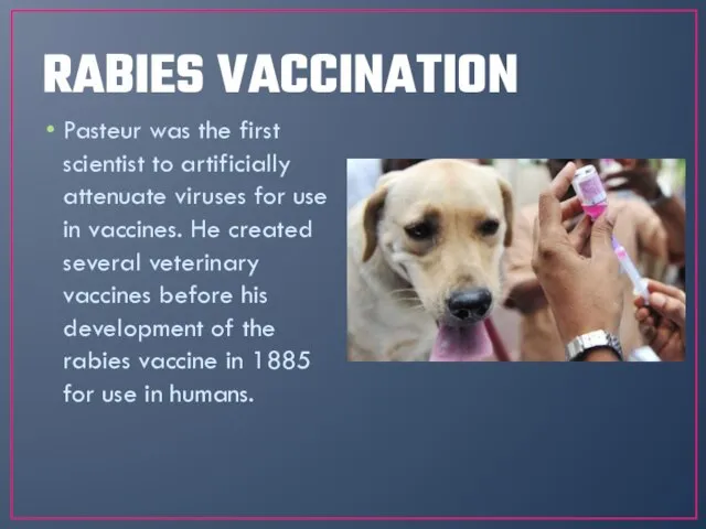 RABIES VACCINATION Pasteur was the first scientist to artificially attenuate viruses for