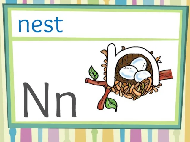 Nn nest