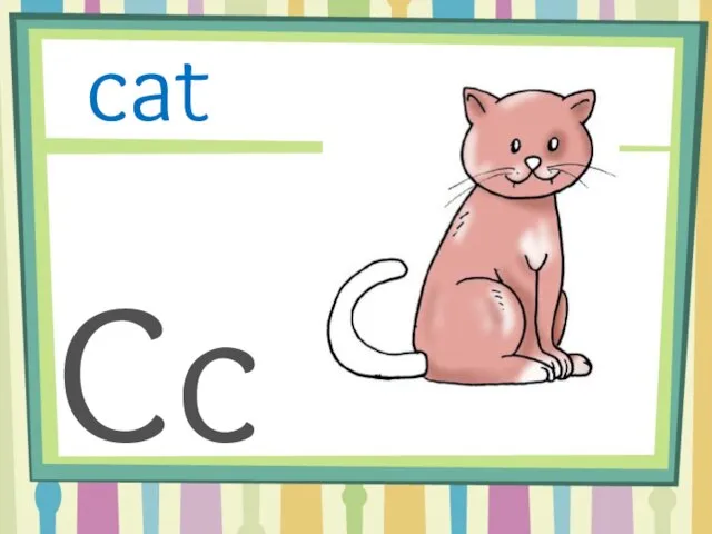 Cc cat