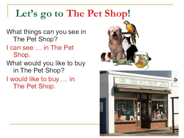 Let’s go to The Pet Shop! What things can you see in