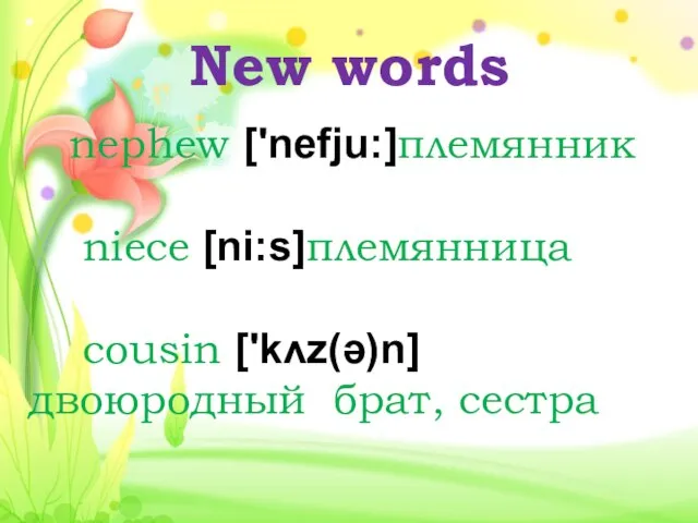 New words nephew ['nefju:]племянник niece [ni:s]племянница cousin ['kʌz(ə)n] двоюродный брат, сестра