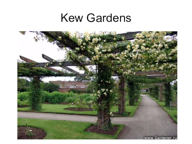 Kew Gardens