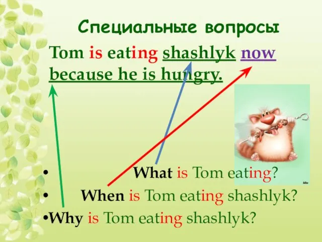 Специальные вопросы Tom is eating shashlyk now because he is hungry. What