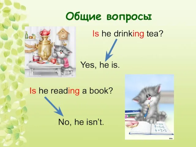 Общие вопросы Is he drinking tea? Yes, he is. Is he reading