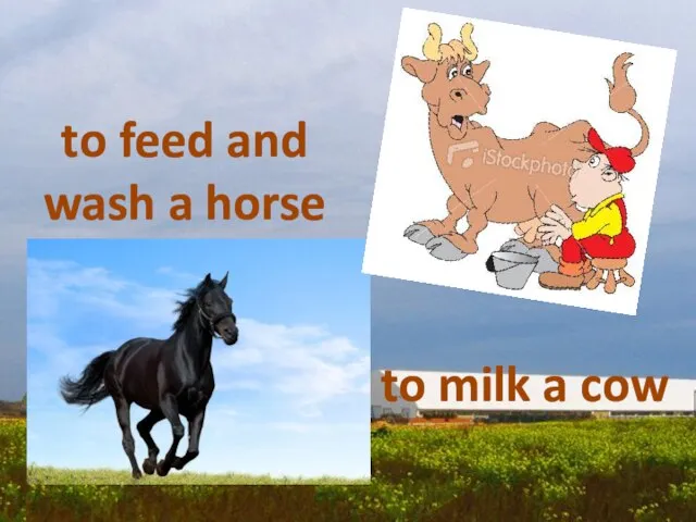 to milk a cow to feed and wash a horse
