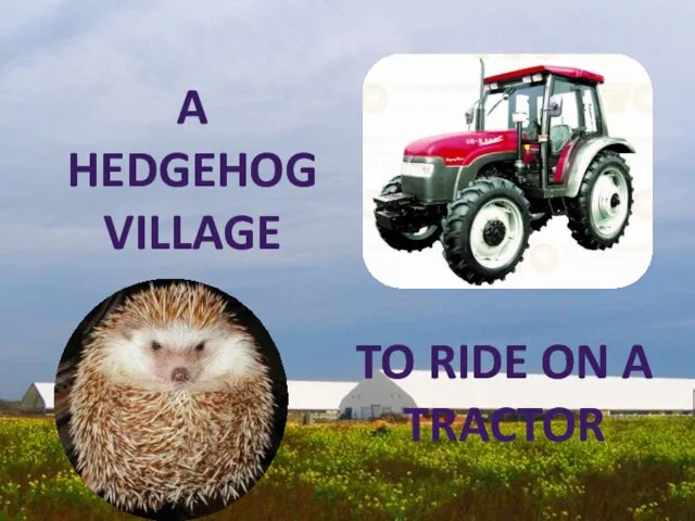 A hedgehog village To ride on a tractor